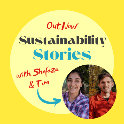 Sustainability Stories graphic