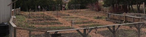 North campus garden plots
