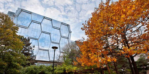 QNC in background and fall foliage in foreground