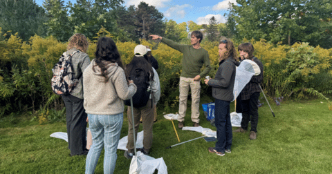 Picture of group learning about insects