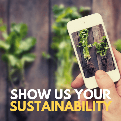 Person taking photo of plants on table with text Show Us Your Sustainability