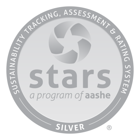 STARS Silver Logo