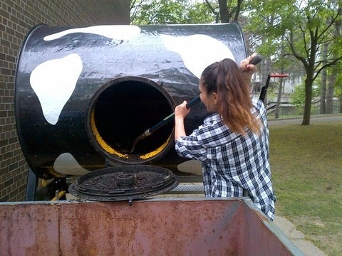 Student emptying compost cow
