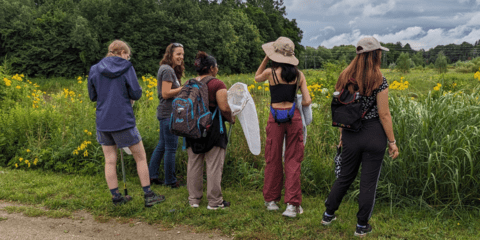 Four students and hike leader looking for insects at BioBlitz 2023