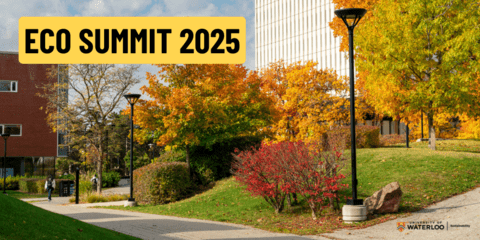 Main campus in fall, with TC and DP in view and many trees with fall foliage