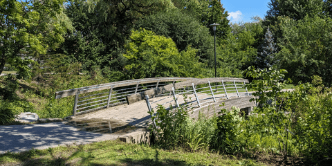 Bridge to Health Services in summer