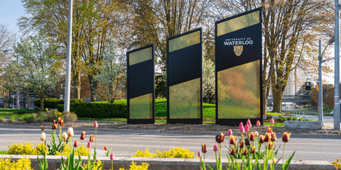 Tulips in foreground, Waterloo sign on Ring Road in background