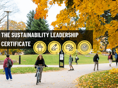 Sustainability leadership certificate 