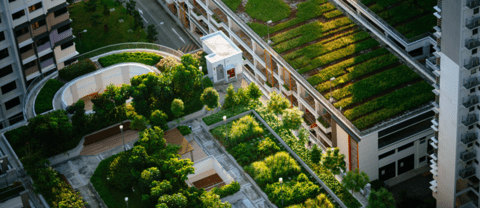Aerial view of a green rooftop. 