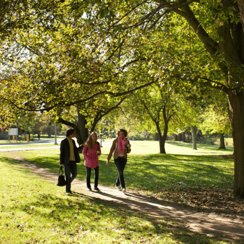 Three people walking along path on campus; trees in the background