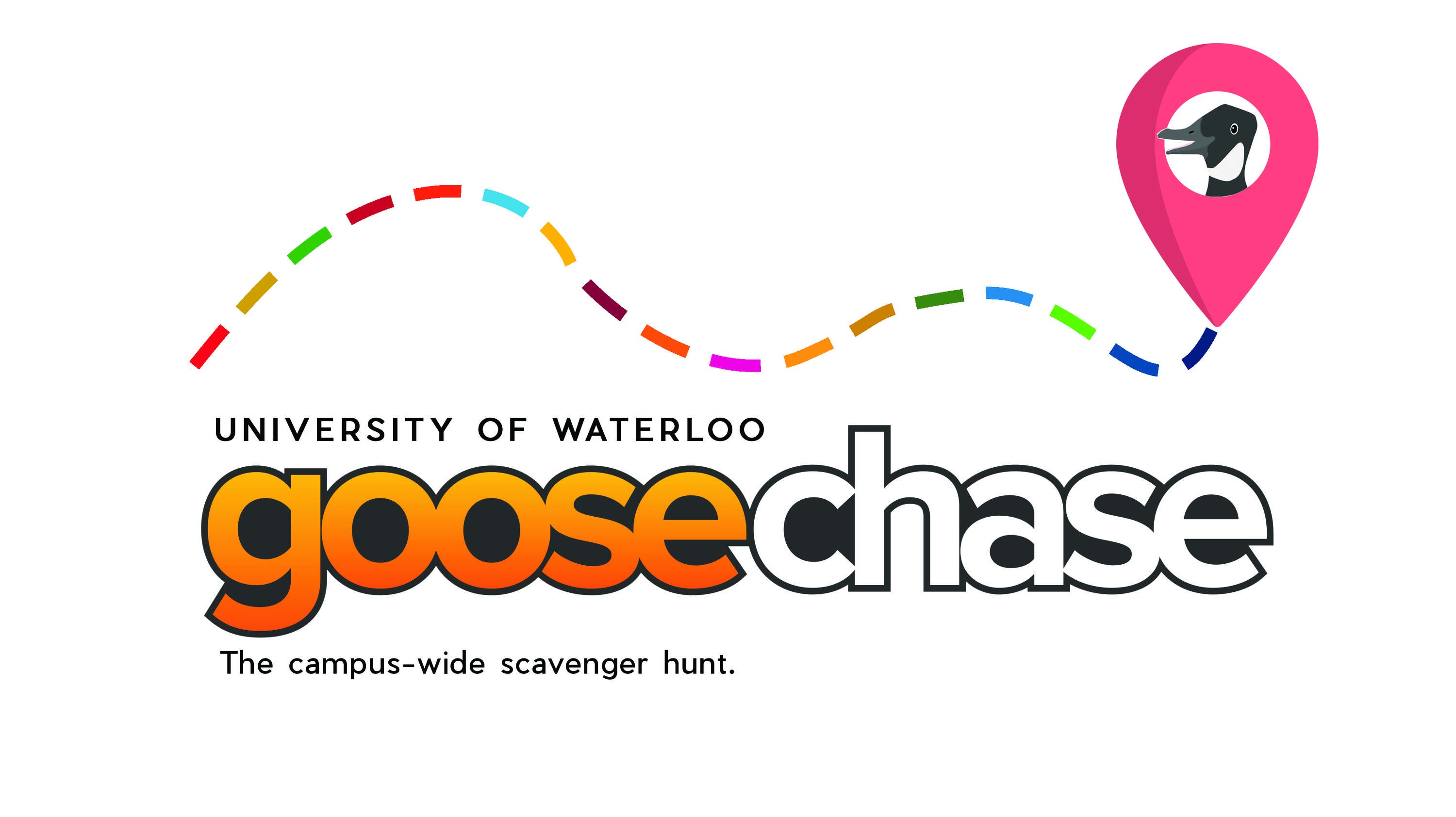 Goose chase Waterloo 