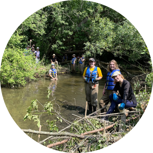 ERS 341 students completing stream restoration