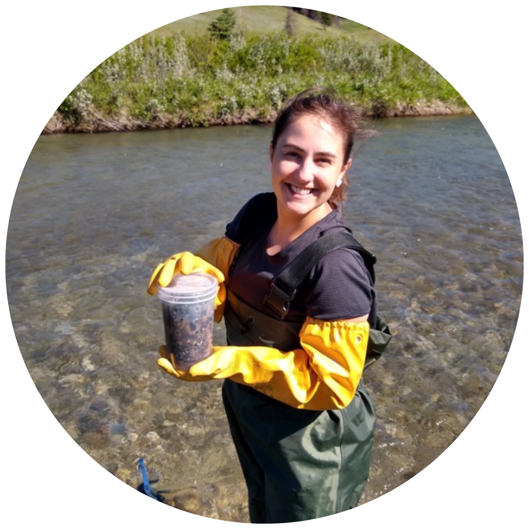 forWater researcher in stream 