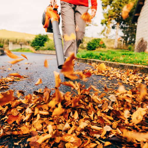 Leaf blower