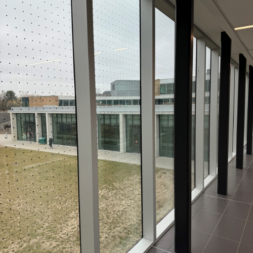 Windows with anti bird collision decals