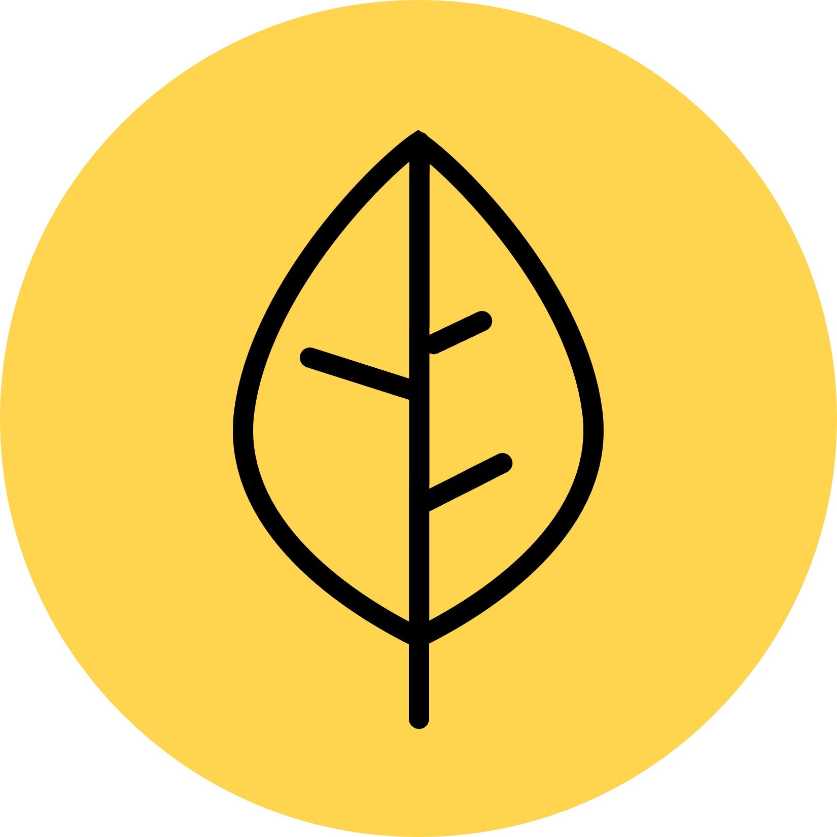 Leaf line icon