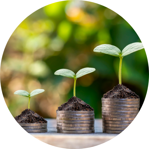 Three piles of coins with seedlings coming out of top to symbolize green funding