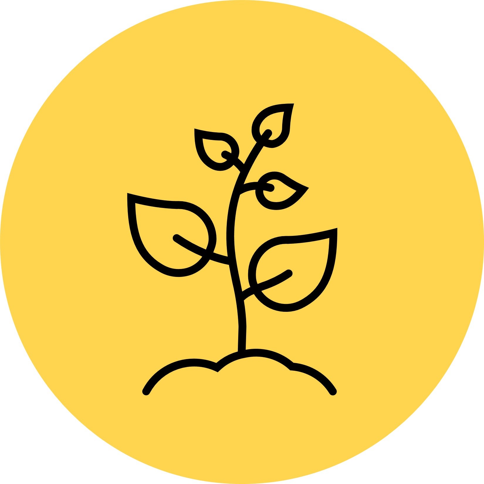 Line icon of seeding sprouting