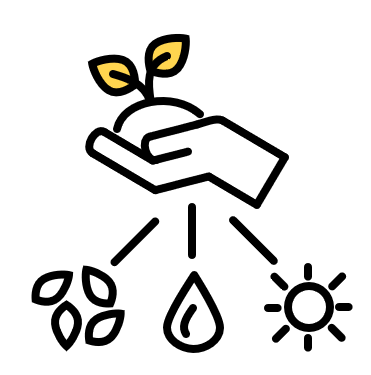 Icon of a hand holding a plant, with seeds, water, and sun below