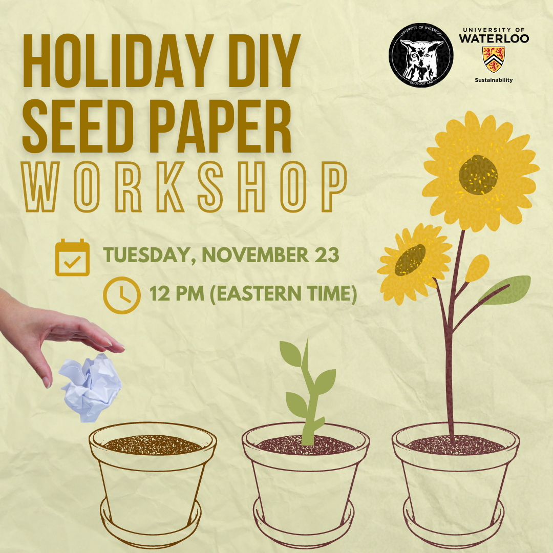 6 steps to making your own seed paper - Nature Canada
