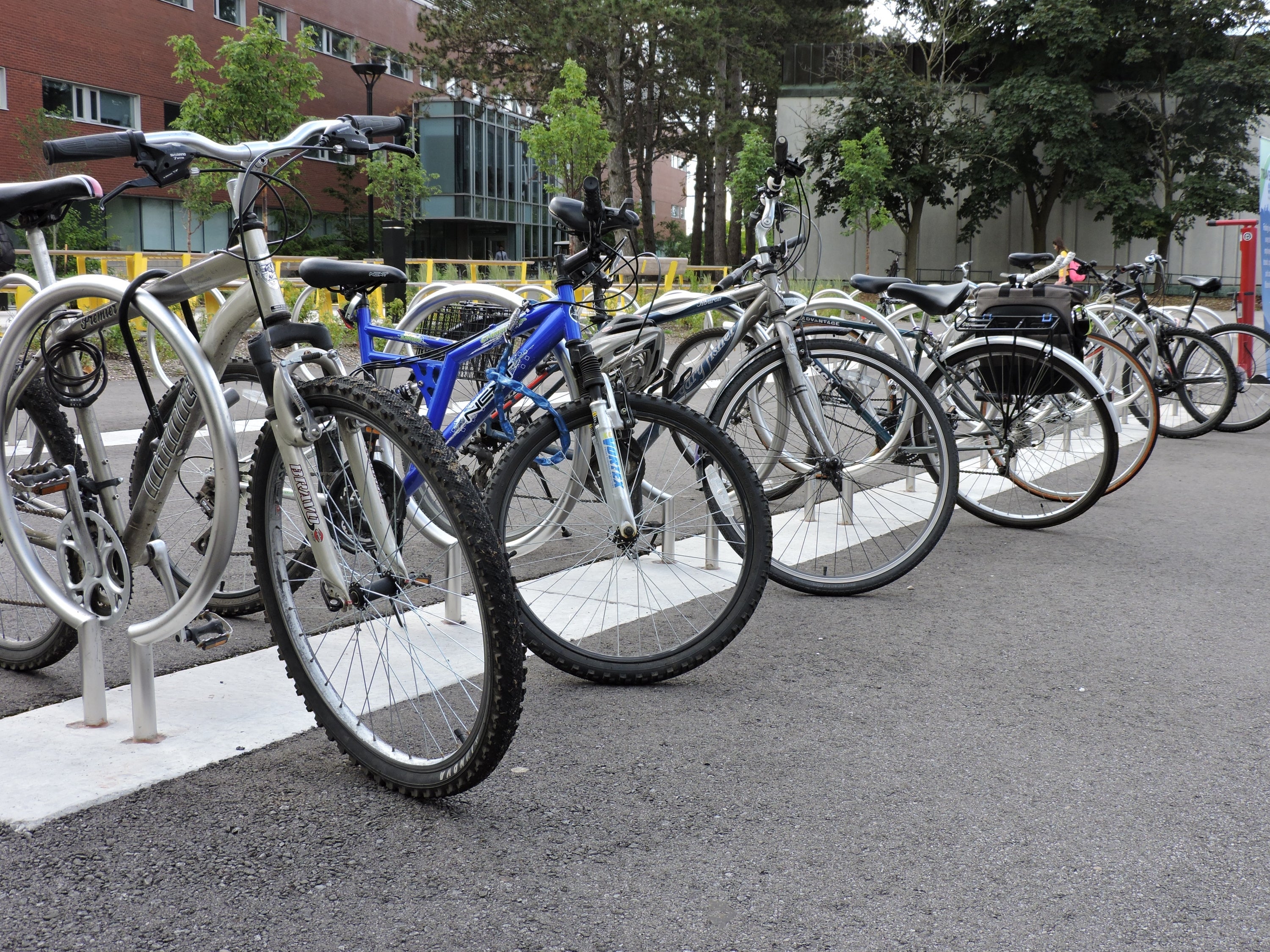 Bikes on bike racks in front of Dana Porter Library