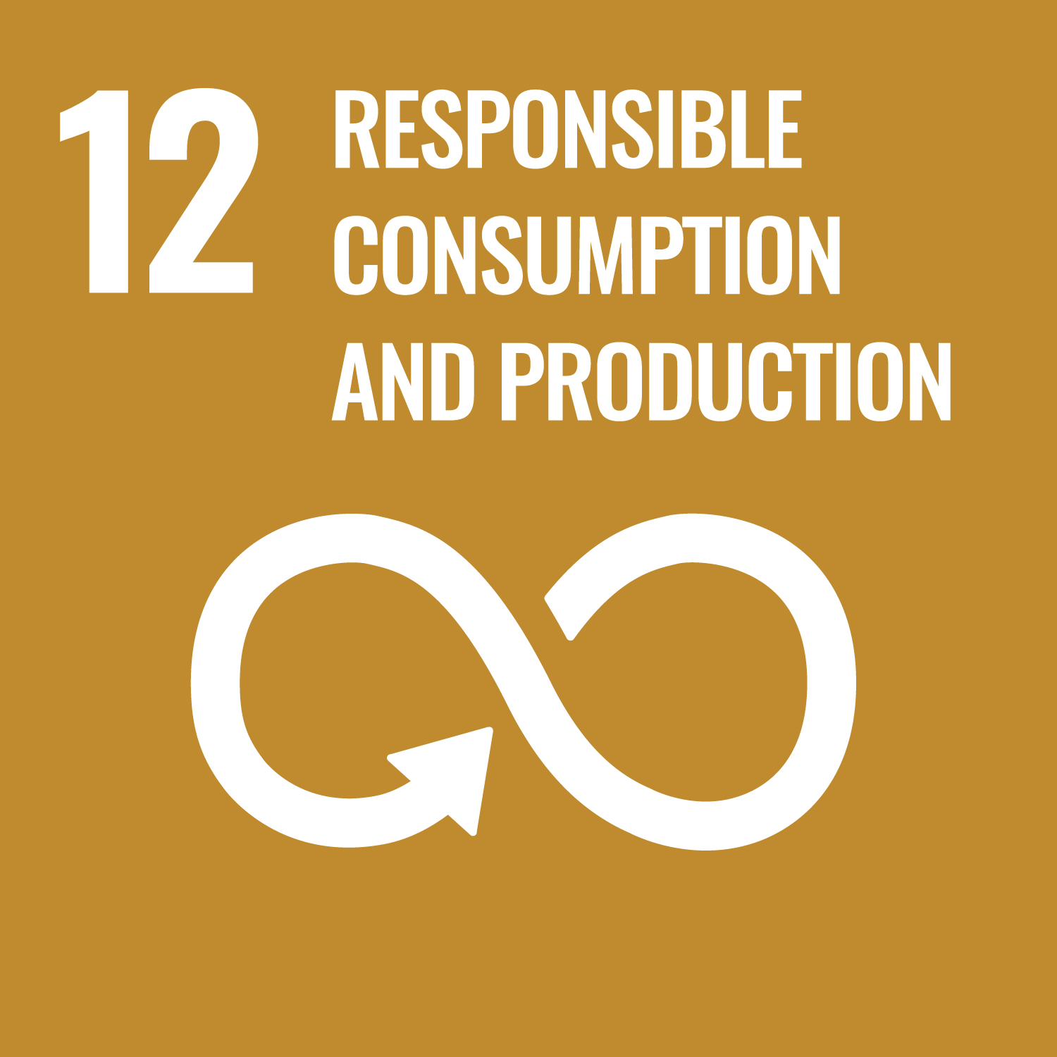 SDG 12 - Responsible Consumption and Production square icon