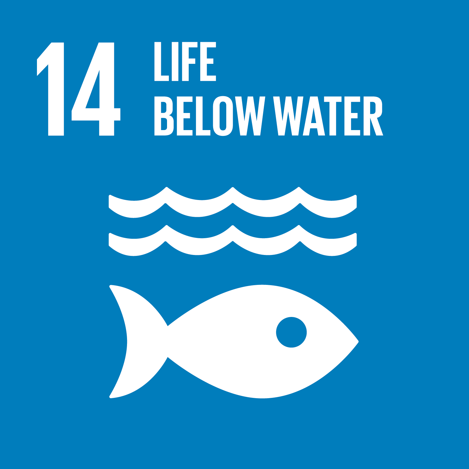 SDG 14 - Life Below Water square icon
