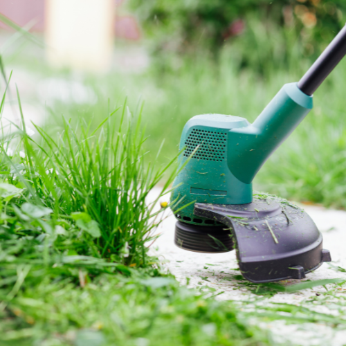 Electric grass trimmer