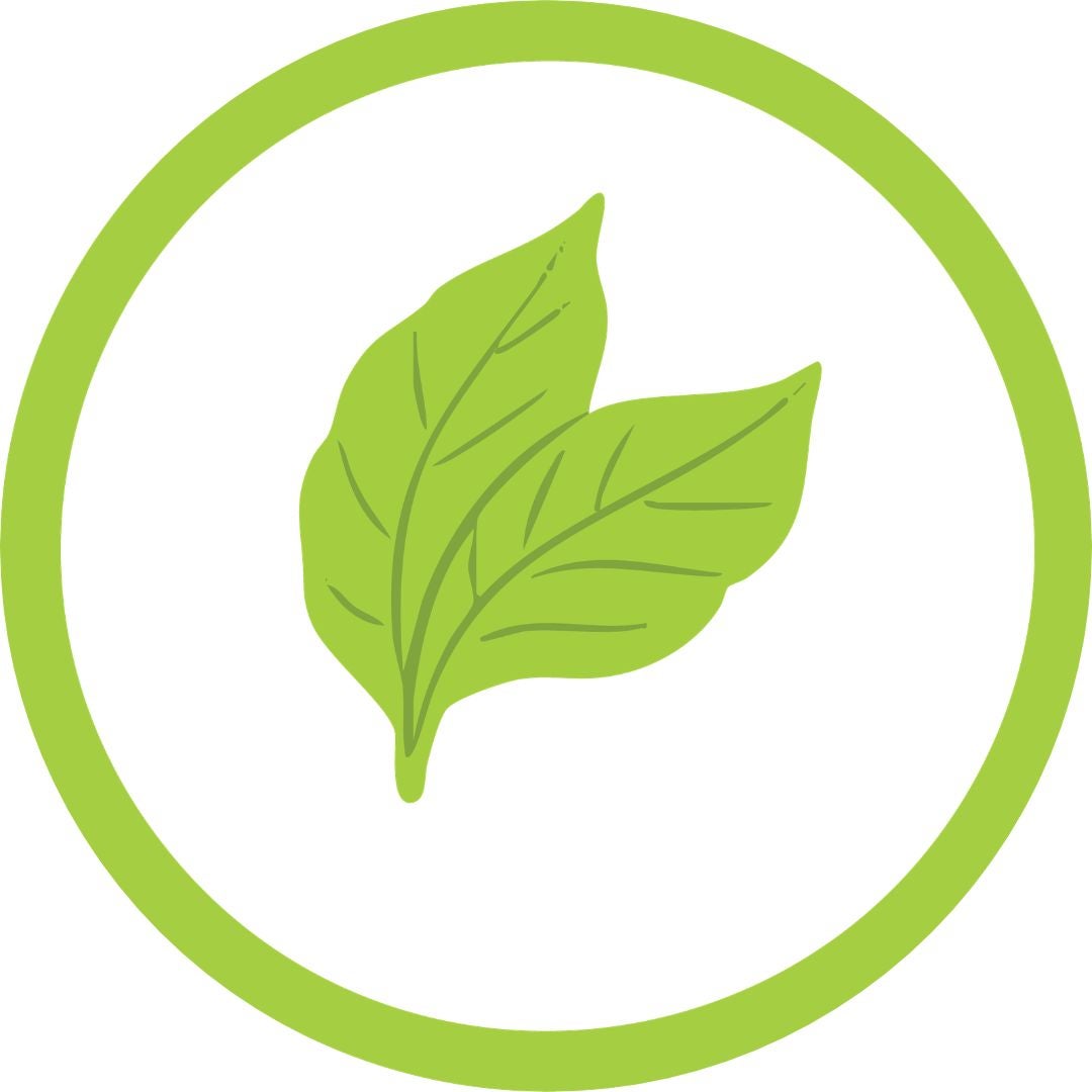 Leaf as a stand in for Darby's headshot