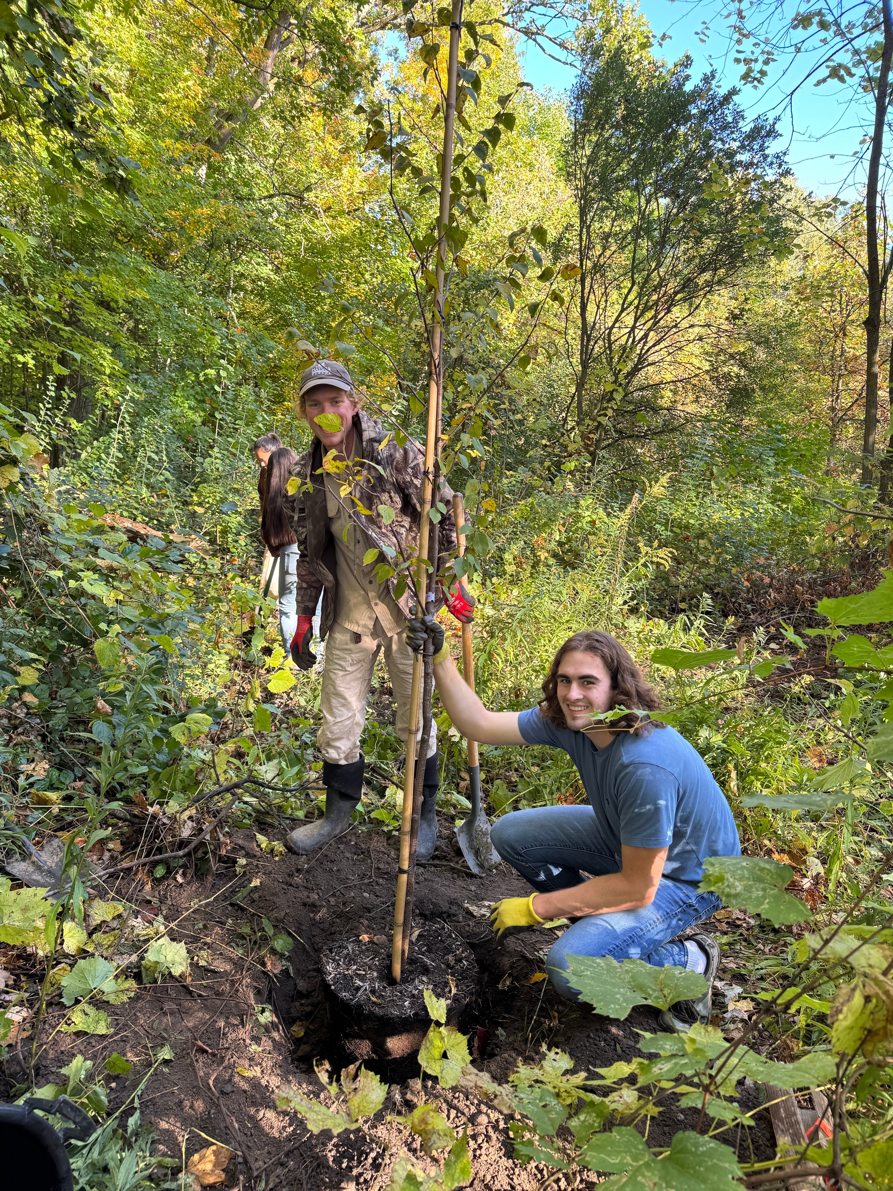 Two people planting a tree