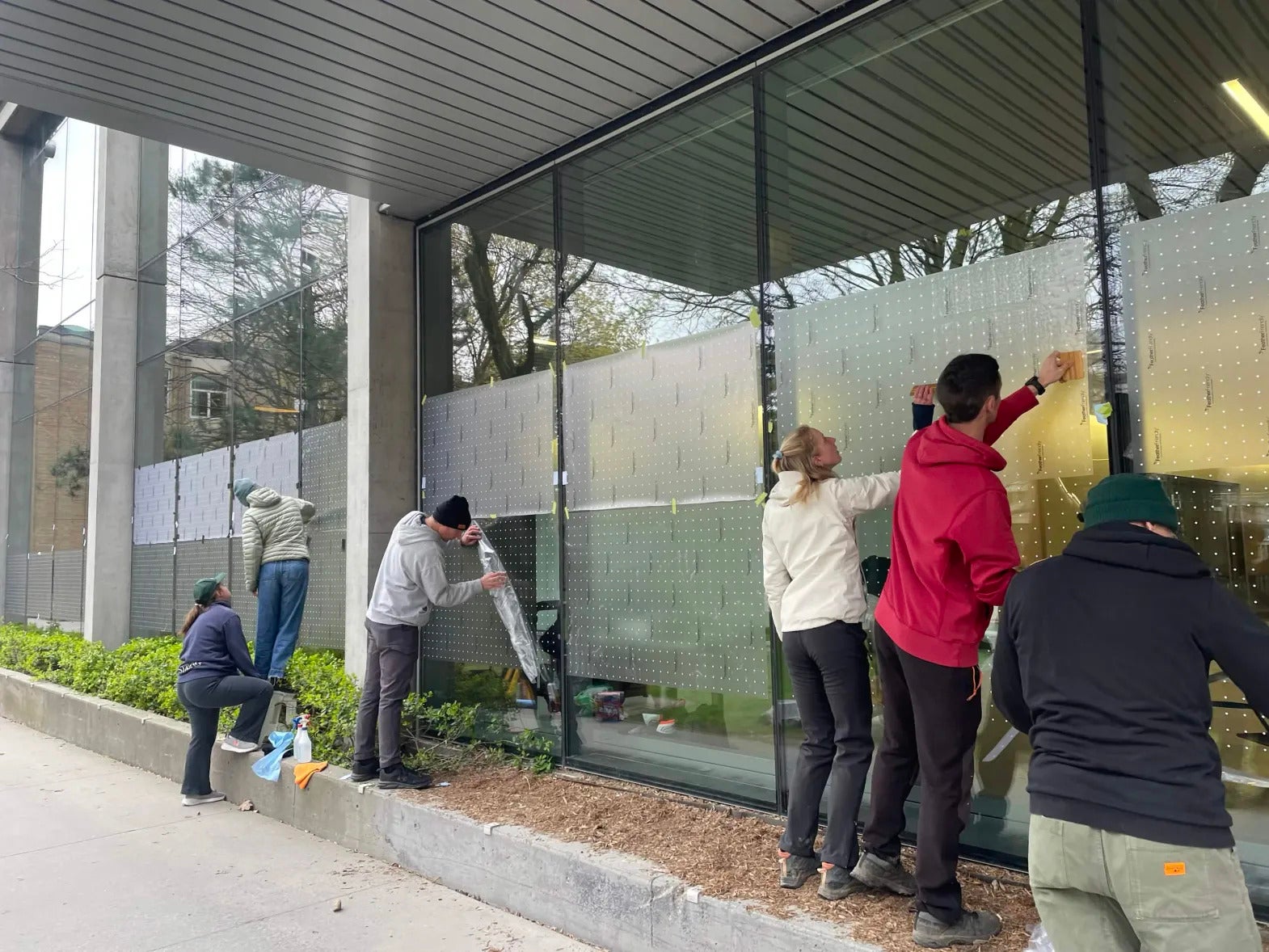 Volunteers Installing Feather Friendly Decals Across QNC