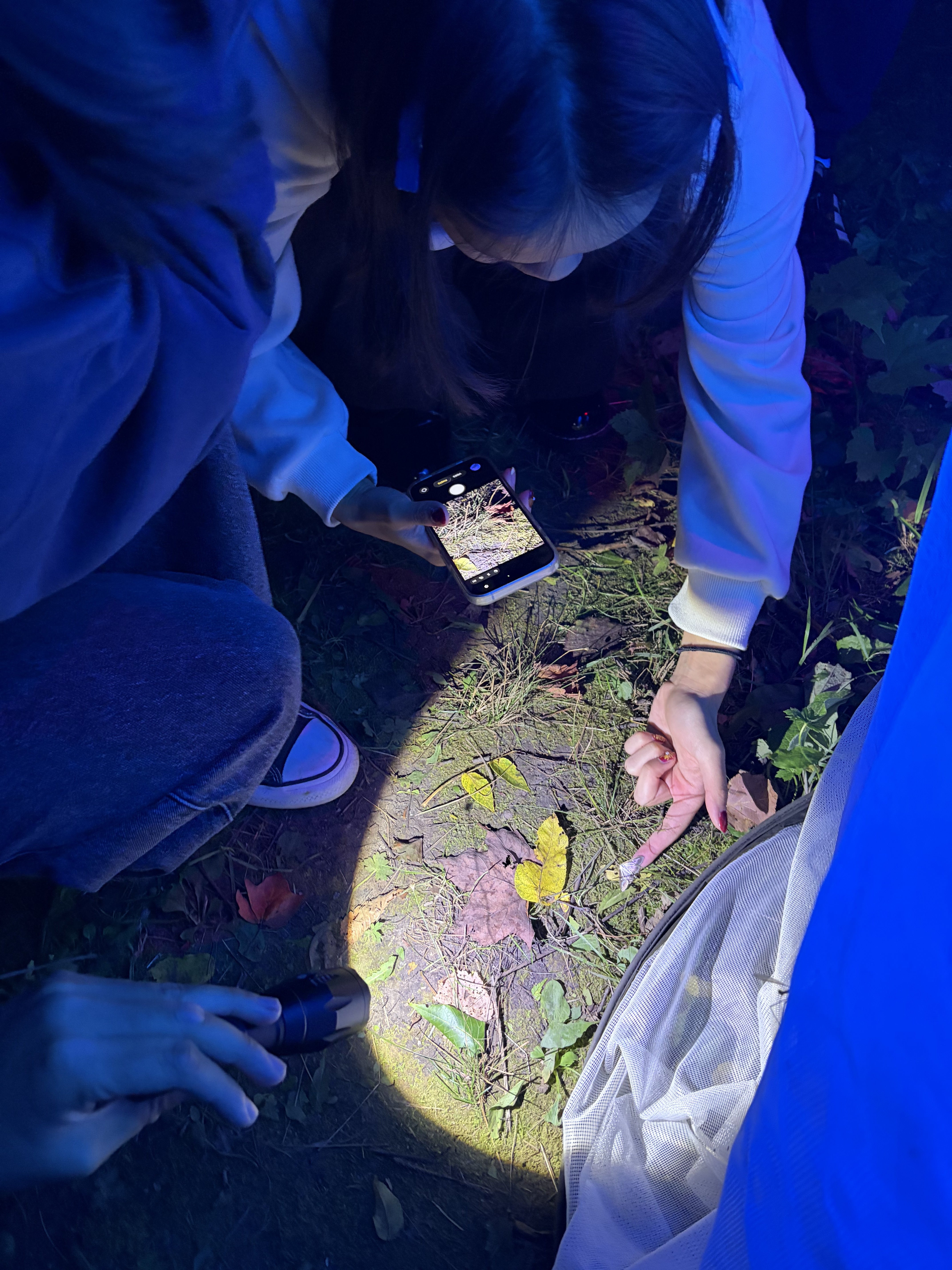 two students shining flaslight on moth