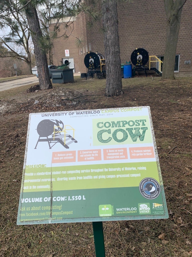 Compost Cows with sign 