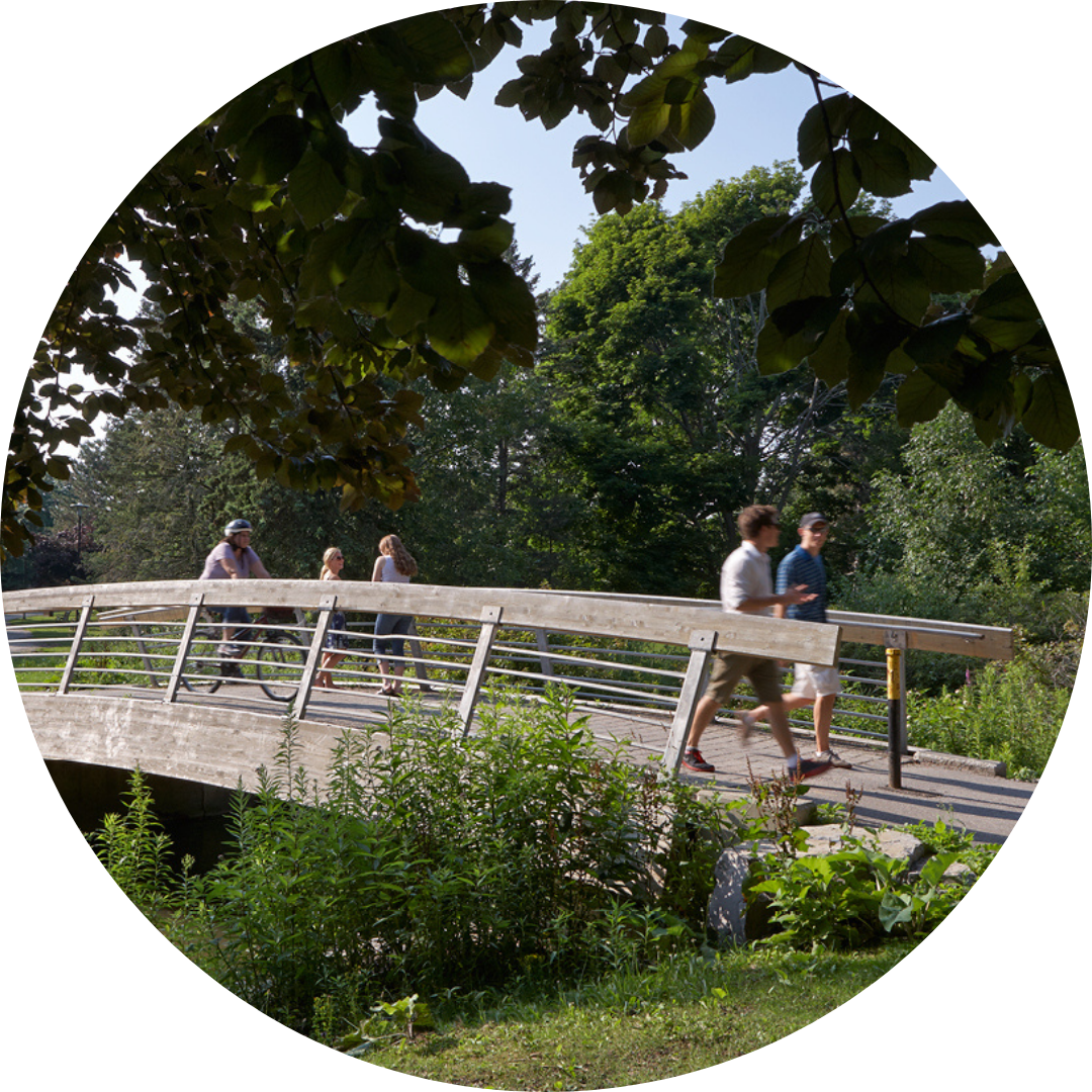 Bridge over Laurel Creek