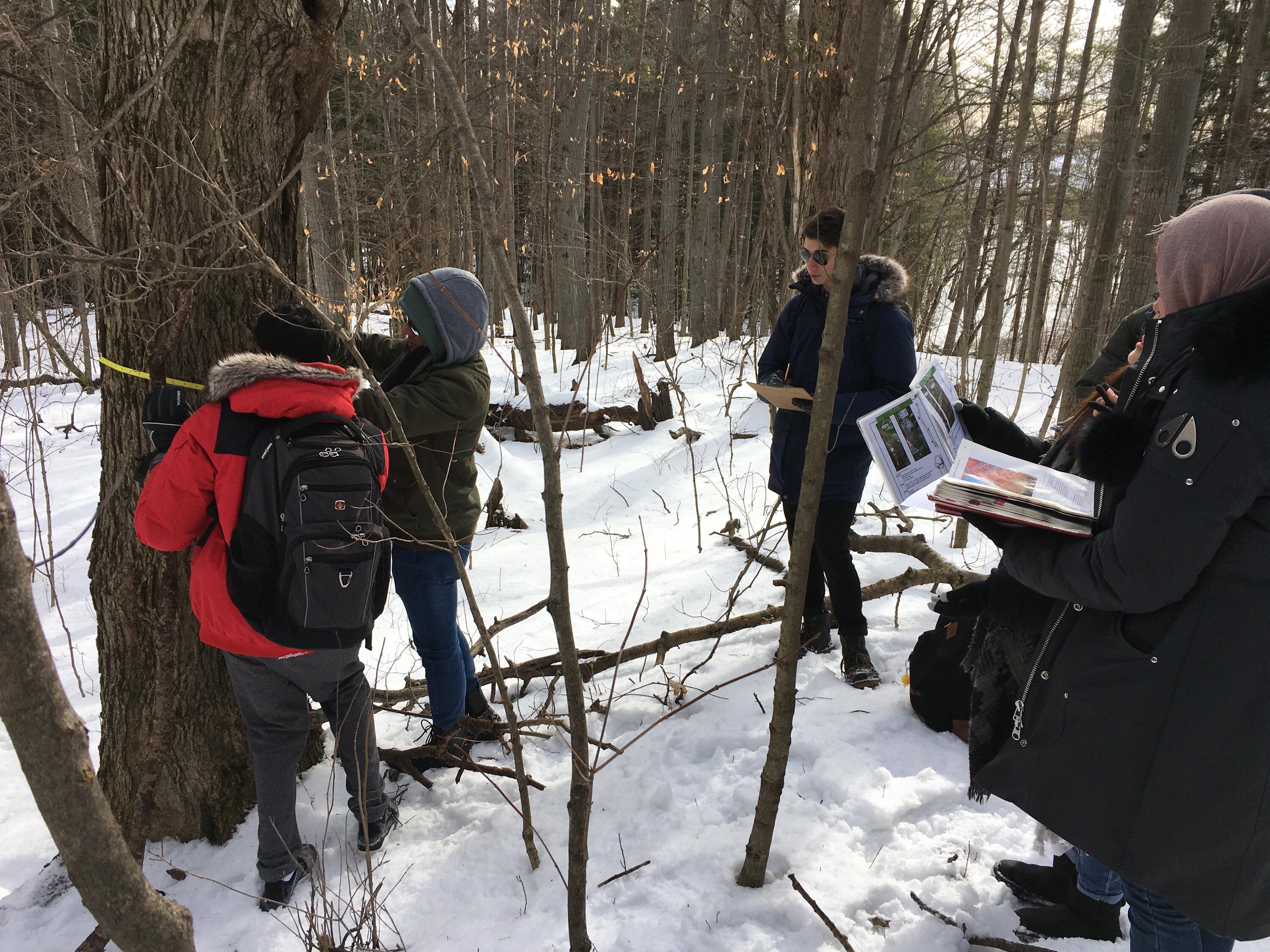 Students in the field with the Ecology Lab