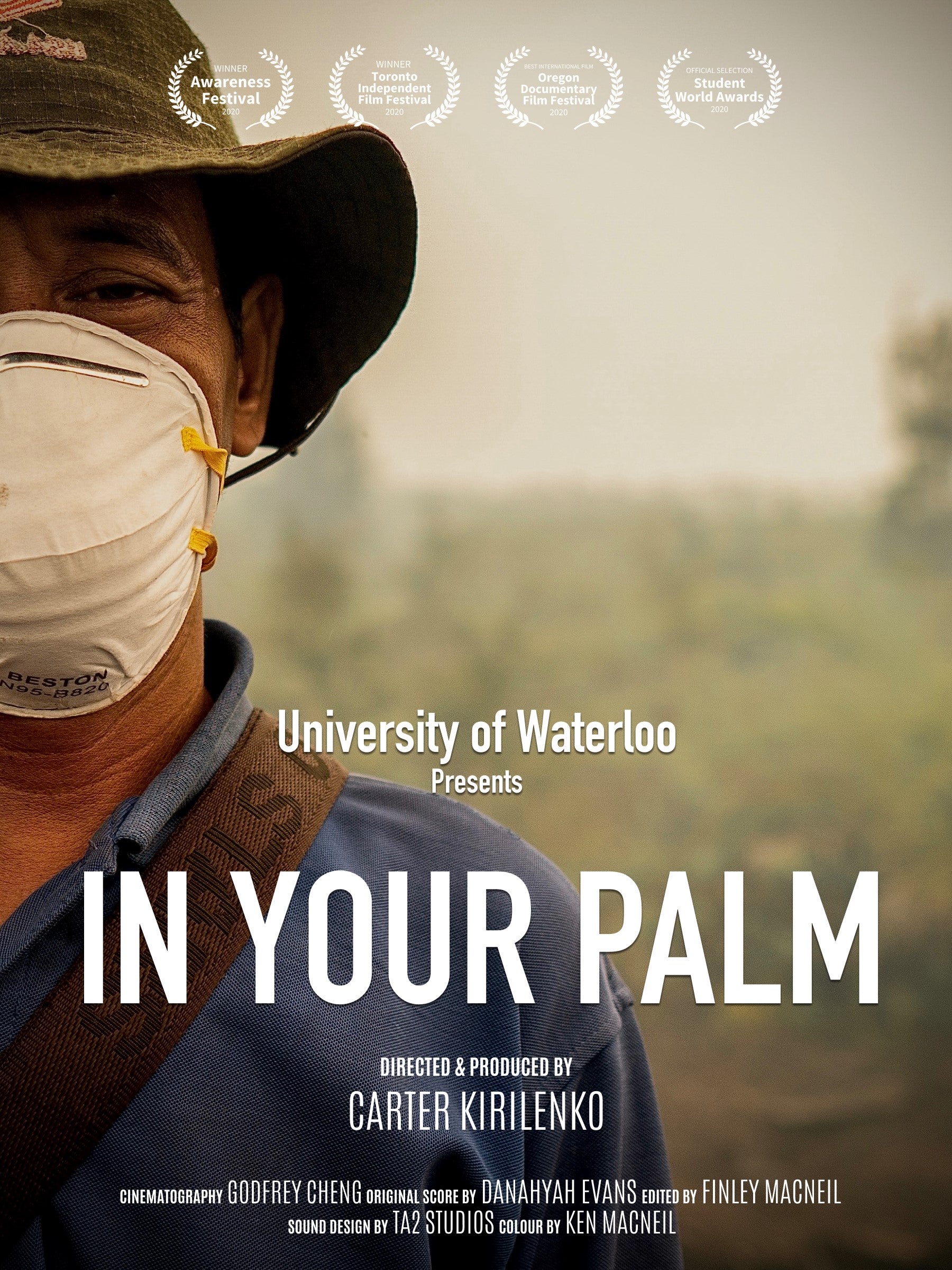 In Your Palm movie poster