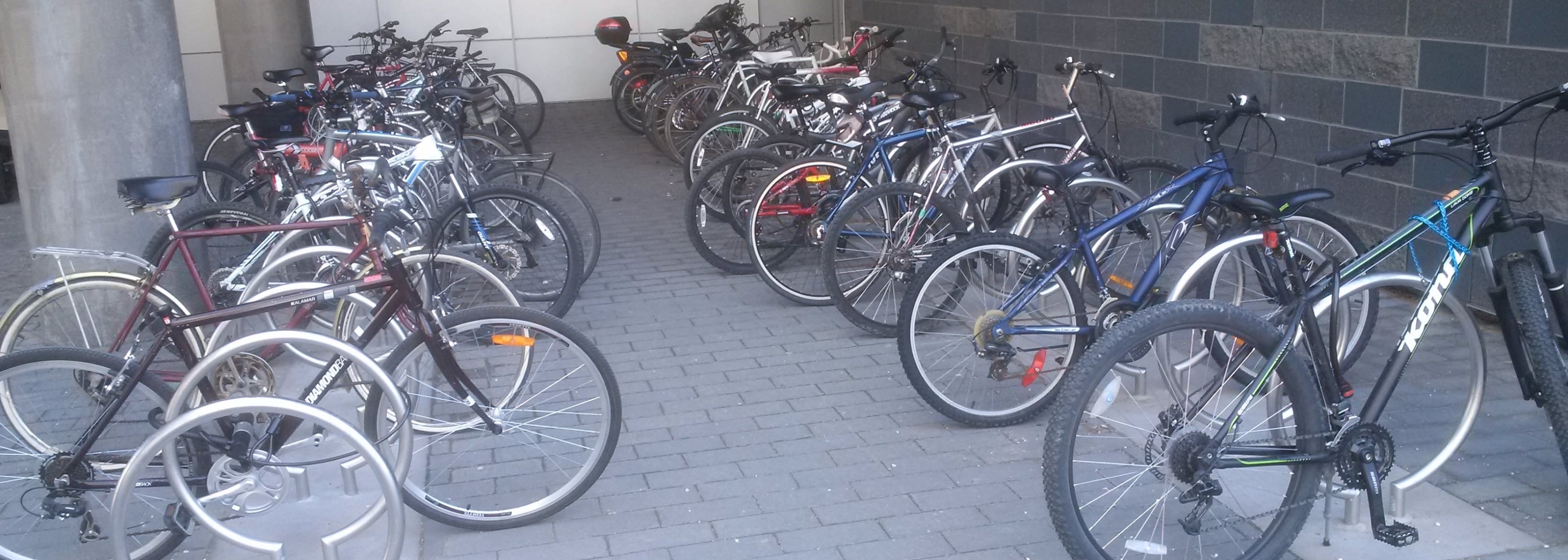 Bikes stored on bike racks