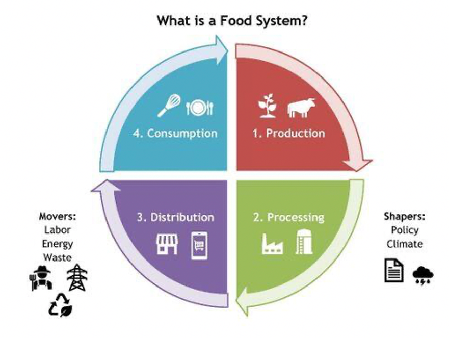 Food system actors