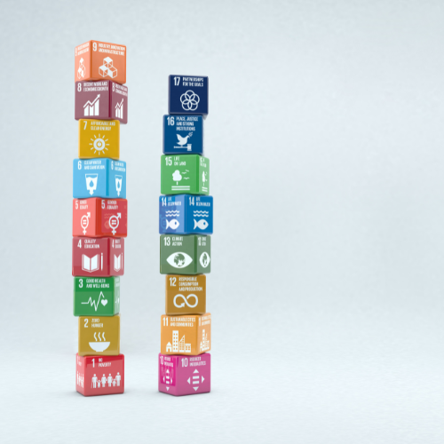 Blocks with the sustainable development goals