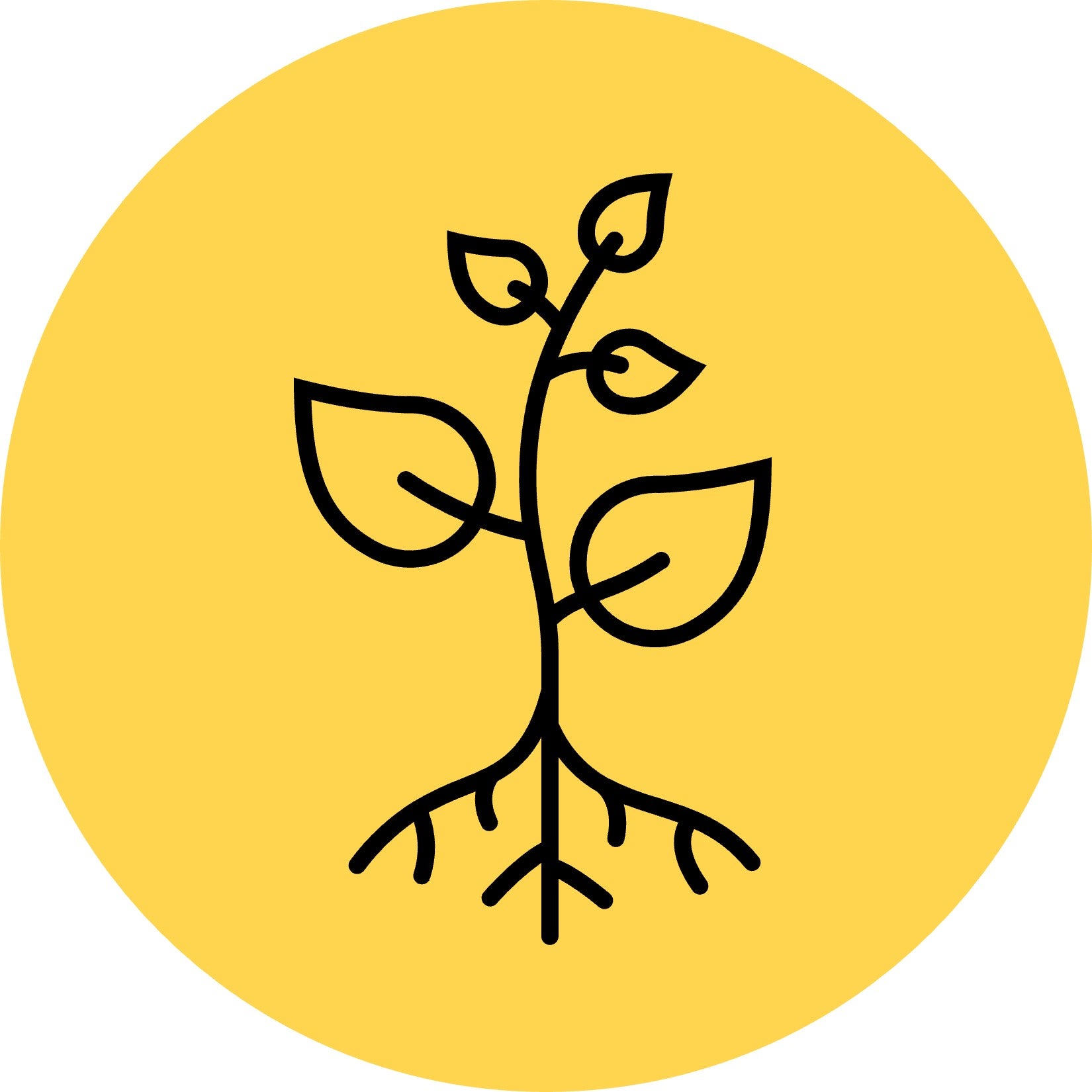 Plant with roots line icon