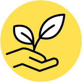 Campus engagement line icon