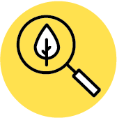 Decision lenses line icon