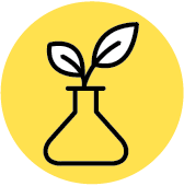 World class research line icon