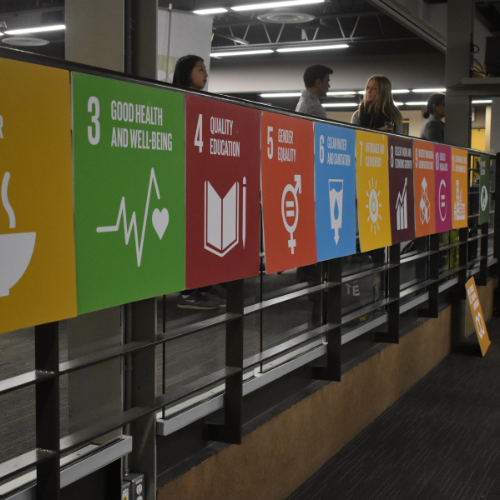 Sustainable development goals
