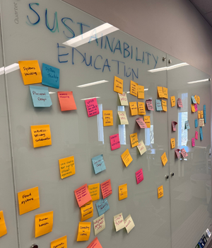 sustainability education