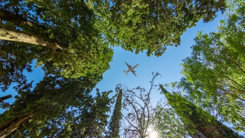 Plane flying above a forest