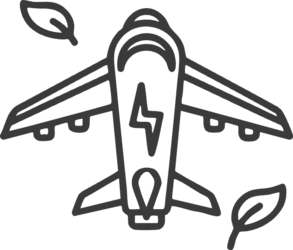 Airplane with a lightning bolt down the middle and leaves on either side.