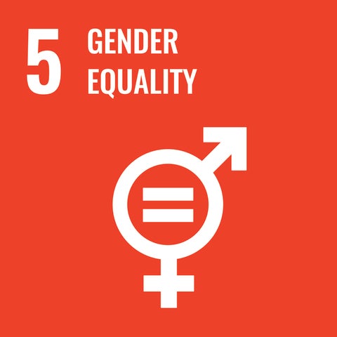 SDG 5 icon