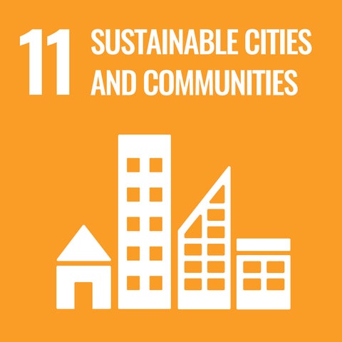 SDG 11 icon