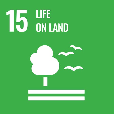 SDG 15 icon